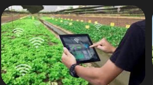 Precision Agriculture